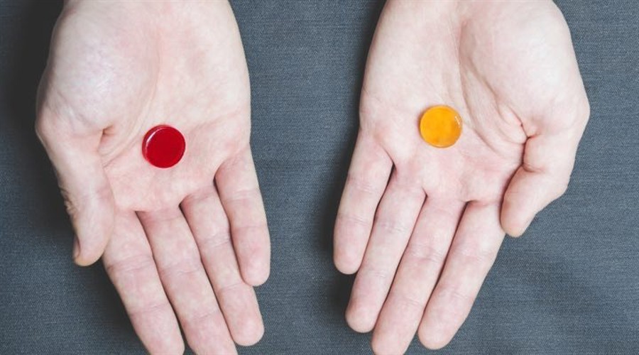 明起，珠海3条公交线路将相继调整